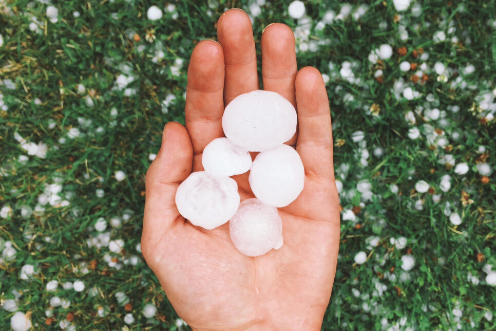 large hailstones in a man's hand